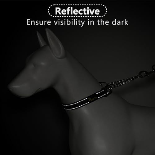 Plutus Pet Martingale Dog Collar with Stainless Steel Chain and Reflective Nylon, Adjustable No Pull Training Collar, for Small Medium, and Large Dogs, Black, S - color: Black, size: Small