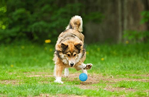 Snug Rubber Dog Balls for Small and Medium Dogs - Tennis Ball Size - Virtually Indestructible (3 Pack - Cool) - color: Cool