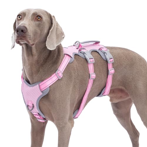 Huntboo Escape Proof Dog Harness, No Pull Reflective Harness with Lift Handle, Adjustable Pet Vest with Front and Back Leash Clips for Small Medium Large Dogs Walking Hiking Training (Pink,L) - color: Pink, size: Large(Pack of 1)