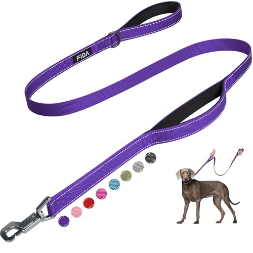 Fida 5 FT Heavy Duty Dog Leash with 2 Comfortable Padded Handles, Traffic Handle & Advanced Easy Snap Hook, Reflective Walking Lead for Large, Medium & Small Breed Dogs, Purple - color: Purple, size: 5 Feet (Pack of 1)