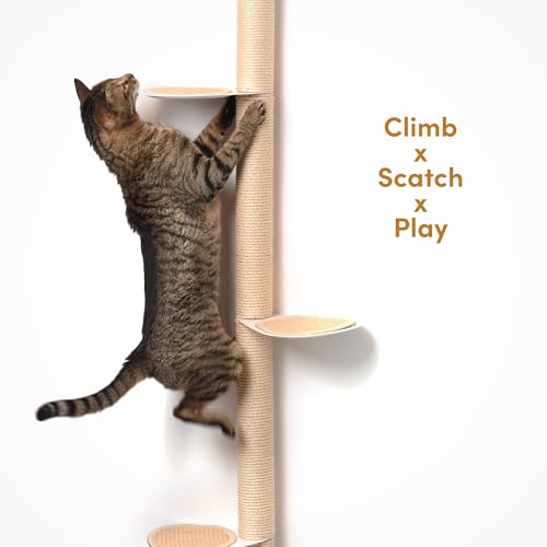 xympo 68" Tall Wall-Mounted Cat Tree – Modern Space-Saving Cat Shelf with Sisal Scratching Post & Steel Climbing Steps – Stylish Cat Wall Furniture for Small Spaces