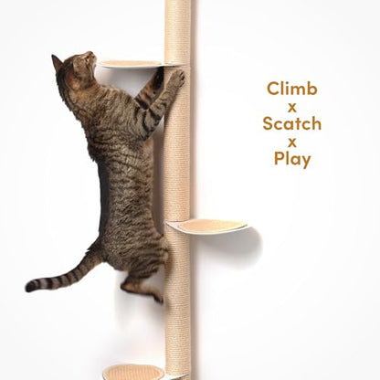 xympo 68" Tall Wall-Mounted Cat Tree – Modern Space-Saving Cat Shelf with Sisal Scratching Post & Steel Climbing Steps – Stylish Cat Wall Furniture for Small Spaces
