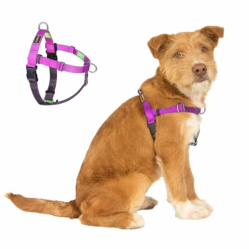 Easy Walk No Pull Dog Harness, Freedom Walk with Front and Back Clips Stainless D-Rings, Comfortable, Sewn-in Instructions Tags for Easy Use, for Medium Dogs Weight 30-39lbs (Purple, M) - color: Purple, size: Medium