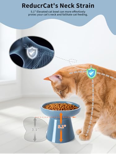 LoeJan Elevated Cat Food and Water Bowls Set, Extra Wide and Raised Ceramic Feeder, Anti-Vomit Whisker-Free Pressure Feeding Bowl for Kittens Adult Small Dogs (Deep Blue, Food Bowl) - color: Deep Blue, size: Single (Food Bowl)
