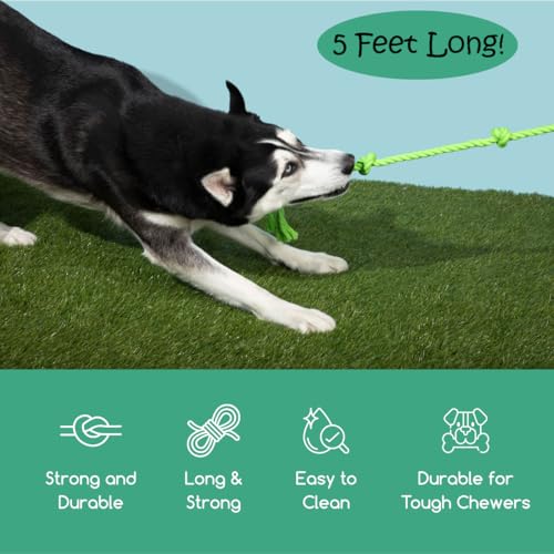 Tumbo Tough Tug Rope Dog Toy - (Green 5 ft Long Strong and Durable Rope Pull Toy with Handle) TUG of WAR Dog Toy - color: Green