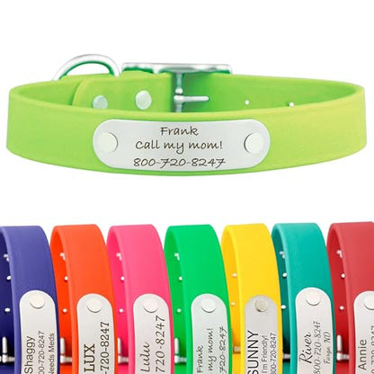dogIDs Personalized Dog Collar – Custom Waterproof Soft-Grip Biothane with Laser-Engraved Nameplate, Durable & Odor-Resistant, USA Made | Margarita, 1 in x 16 in (Fits Necks Size 14-18 in) - color: Margarita, size: 1 in x 16 in (Fits Necks Size 14-18 in)