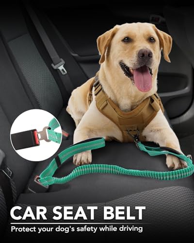Joytale Tactical Dog Leash Heavy Duty, 4-6FT Shock Absorbing Bungee Lead with 2 Padded Handle, Metal Carabiner Clip, Car Seatbelt, Strong No Pull Leash for Medium Large X-Large Dogs, Teal - color: Teal