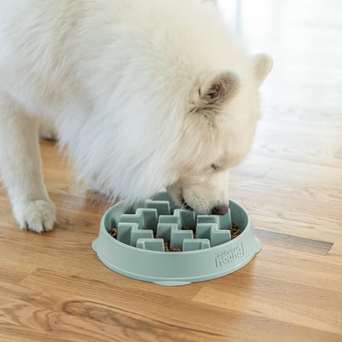 Outward Hound Fun Feeder Slo Bowl – Large 4‑Cup Capacity, Slow Feeding, Medium to Large Dogs, Non‑Slip, Sage, Notch Pattern - size: Large