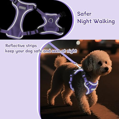 Small Dog Harness and Leash Set, Reflective Soft Breathable Mesh Vest, 3 Buckles, Adjustable Neck and Chest,Step in Dog Harness for Walking, Running, Training, Purple, M - color: Purple, size: Medium
