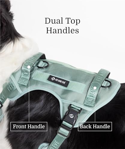 2026 New Edition, Fei & Eve Classic Dog Harness - Quick-Release Buckles | 3-Point No-Pull Control | Heavy-Duty 900D Nylon | Dual Safety Handles | Breathable Mesh | Adjustable Fit | Medium,Green - color: Glacier Green, size: M