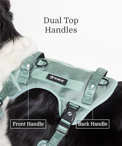 2026 New Edition, Fei & Eve Classic Dog Harness - Quick-Release Buckles | 3-Point No-Pull Control | Heavy-Duty 900D Nylon | Dual Safety Handles | Breathable Mesh | Adjustable Fit | Medium,Green - color: Glacier Green, size: M