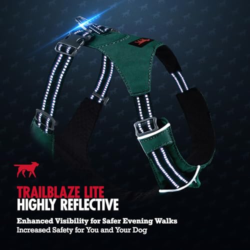 Tuff Pupper All-Day Wear Dog Harness | for Walking, Trail Running, Hiking | Front & Back Leash Clips | Reflective Trim | Easy On/Off Buckles | Lightweight Breathable | No Pull Design (Medium, Teal) - color: Tropical Teal, size: Medium