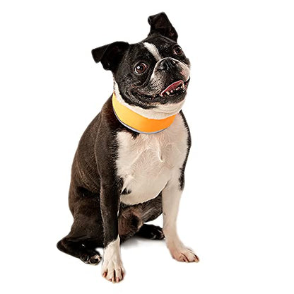 CoolerDog Hi-Vis Cooling Dog Collar for Small Dogs – Reflective Re-Freezable Ice Collar for Hot Weather & Heat Relief (Orange, Small) - size: Small
