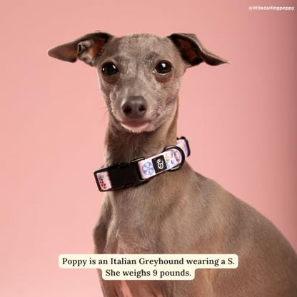 Lucy & Co. Dolce Vita Dog Collar, Adjustable Durable Dog Collar with Cute Print, Small - color: Dolce Vita, size: Small