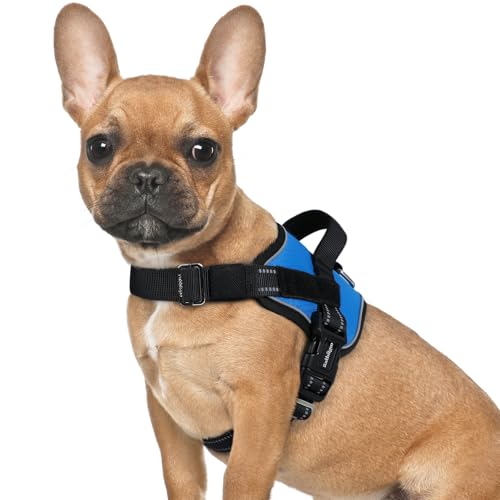 rabbitgoo Dog Harness for Small, Easy On Pet Vest with One Buckle, No Pull Adjustable Service Harness with D-Ring & Handle, Reflective for Safety Walking, Training, Blue, S - color: Blue, size: Small