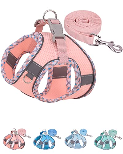 Petank Dog Harness for Small Medium Dogs No Pull, Puppy Harness and Leash Set, Step in Dog Harness for Walking, Running, Training, Small Dog Vest (Pink, XXS) - color: Pink, size: XXS