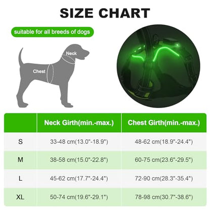 Light Up Dog Harness - LED No Pull Rechargeable Illuminated and Reflective Vest for Night Walking, Adjustable Dog Harness - color: Green, size: M