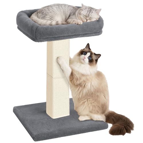 Cat Scratching Post, 32”Cat Scratcher with Large Plush Perch, Sisal & Carpet Scratching Post, Vertical Posts with Elevated Bed for Indoor Cats, Removable& Washable Cover, Grey - color: Grey with Bed