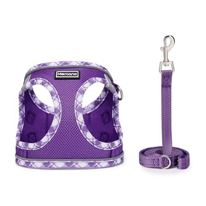 Mercano Soft Mesh Dog Harness and Leash Set, Step-in Reflective Breathable Lightweight Vest Harnesses with Safety Buckle for Small Dogs, Cats (XXS, Purple) - color: Purple, size: XXS (Chest: 9.5"-11.2")