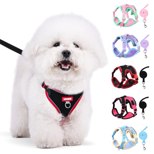 Coppthinktu Dog Harness with Leash Set for Small Sized Dogs Cats, No Pull Dog Harness Soft Mesh Cat Puppy Harness, Adjustable Reflective Step-in Pet Vest Harnesses for Outdoor Walking Training - color: Black, size: Medium
