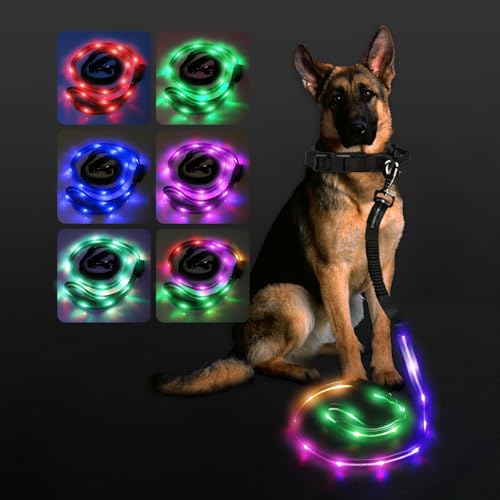 hamraba 5 Ft Light Up Dog Leash, 10 Lighting Modes LED Dog Leash for Night Walking, Rechargeable with Padded Handle, Safety Glow in The Dark, for Small Medium Large Dogs