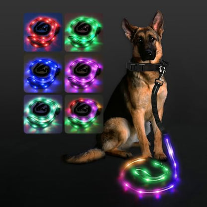 hamraba 5 Ft Light Up Dog Leash, 10 Lighting Modes LED Dog Leash for Night Walking, Rechargeable with Padded Handle, Safety Glow in The Dark, for Small Medium Large Dogs