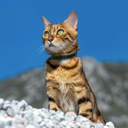 Breakaway Cat Collar Leather with Removable Bell - 13 Colors Available - Soft Adjustable Girl Boy Safety Lightweight Pet Kitten Collars Pink Brown Blue Green Red Orange Black (Cognac) - color: Cognac