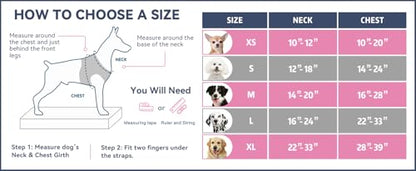 PHOEPET No Pull Dog Harnesses for Small Dogs Reflective Adjustable Front Clip Vest with Handle 2 Metal Rings 3 Buckles [Easy to Put on & Take Off](XS, Purple) - color: Purple, size: Extra Small