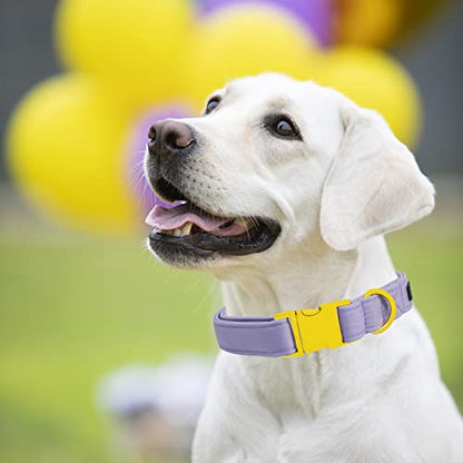 Maca Bates Dog Collar and Leash Set, Adjustable Solid Dog Collar and Leash for Small Medium Large Dog with Golden Metal Buckle - color: set-violet, size: XS