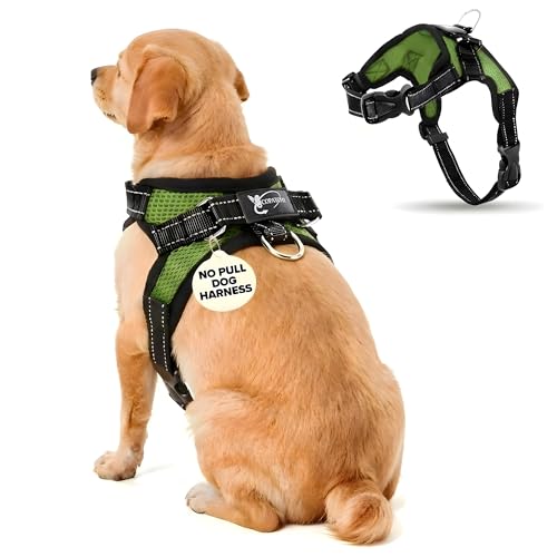 No Pull Reflective Adjustable Dog Harness with Handle- Comfortable Soft All Weather Mesh, Easy On Puppy Harness for Small Medium and Large Dogs (Green) Small - color: Green, size: Small