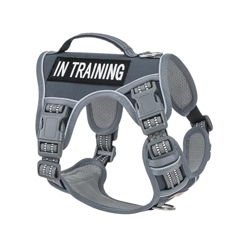 AUNZO No-Pull Dog Harness for Small Dog Breeds, Anti-Escape Easy Walking Reflective Adjustable Lightweight Dog Vest with Breathable Oxford Material, Easy on Easy Off with Neck Buckle, Gray XS - color: Gray, size: Extra Small