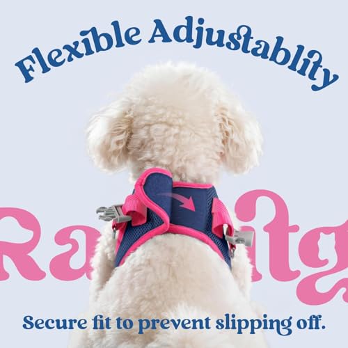 rabbitgoo Dog Harness Small Sized and Leash Set, Step-in Breathable Pet Harness, Soft Walking Reflective Puppy Vest for Small Dogs, Blue & Rose Red, XXS - color: Blue & Rose Red, size: XXS (Chest: 12.4 - 14.2")