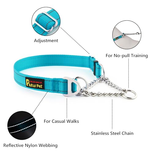 Plutus Pet Martingale Dog Collar with Stainless Steel Chain and Reflective Nylon, Adjustable No Pull Training Collar, for Small Medium, and Large Dogs, Cyan, S - color: Cyan, size: Small