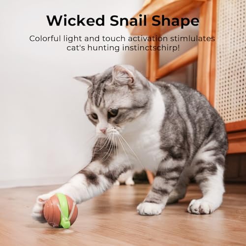 Cheerble Interactive Cat Toy for Indoor Cats, Wicked Snail Kitten Toys, Automatic Cat Toys with LED Lights, Rechargeable Moving Toys for Cats, Smart Stimulating Electric Pet Toy (Brown) - color: Brown