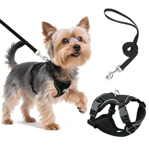 Small Dog Harness and Leash Set, Reflective Soft Breathable Mesh Vest, 3 Buckles, Adjustable Neck and Chest,Step in Dog Harness for Walking, Running, Training, Black, XS - color: Black, size: X-Small