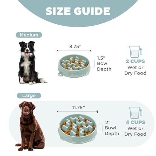 Outward Hound Fun Feeder Slo Bowl – Large 4‑Cup Capacity, Slow Feeding, Medium to Large Dogs, Non‑Slip, Sage, Notch Pattern - size: Large