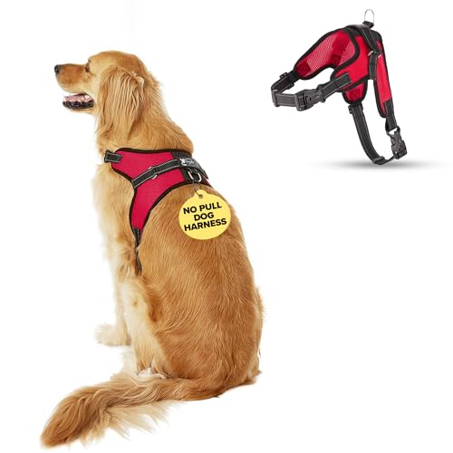 No Pull Reflective Adjustable Dog Harness with Handle- Comfortable Soft All Weather Mesh, Easy On Puppy Harness for Small Medium and Large Dogs (Red) Large - color: Red, size: Large