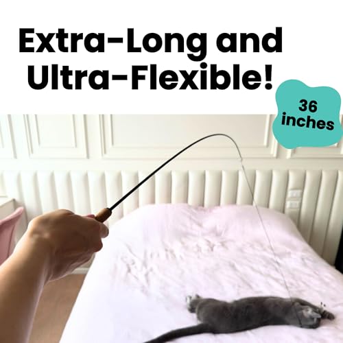 Forever Stick - Unbreakable Cat Wand Toy | Solid 1-Piece Fiberglass Rod - Bends, Doesn’t Break | 3-Year Warranty | 36 Inch Cat Fishing Pole Toy with Spinning Feather Toy | 2-in-1 String Toy and Teaser - size: Forever Stick 1-Pack