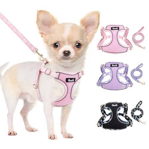 SlowTon Small Dog Harness - No Pull Dog Harness and Leash Set, Soft Mesh Lightweight Puppy Vest Harnesses, Adjustable Pet Harnesses for XXS XS Small Medium Easy Walk Hiking (Pink, XXS) - color: 1.Pink Daisy, size: XX-Small
