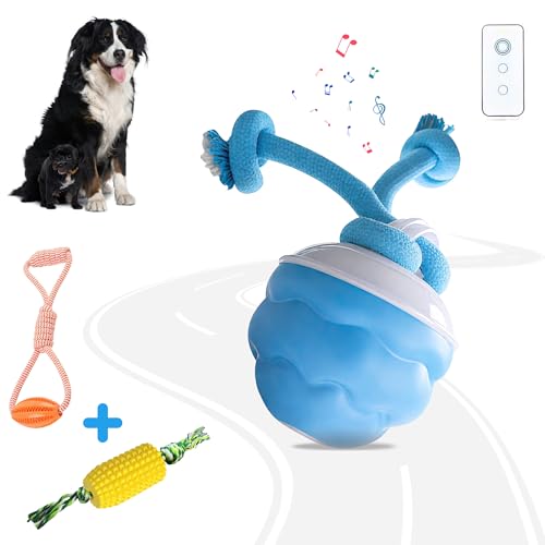 Interactive Dog Ball, 2026 Upgraded Motion Activated Automatic Rolling Ball with Remote Control, Self-Moving Pet Ball for Training Pets Toy, Free Chew Corn & Rope Toy Included