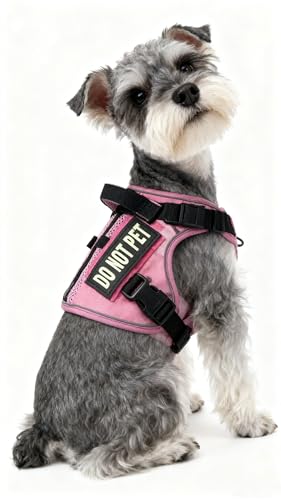 Tactical Dog Harness for Small and Medium Breeds, Air Dog Vest No Pull with Reflective Do Not Pet Patches, Breathable Dog Molle Vests for Training Walking Hunting Camo Pink - color: CAMO PINK, size: M