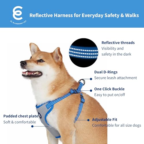 Blueberry Pet Essentials Back to Basics Reflective Dog Harness Vest, French Blue, Medium, Adjustable Harnesses for Dogs - color: French Blue, size: Medium (Pack of 1)