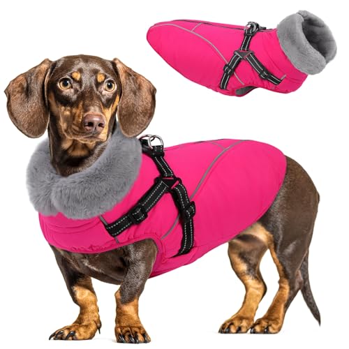 Queenmore Dog Jackets for Large Dogs, Dog Coat with Harness Built in,Waterproof Dogs Coats with Zipper On Back,Warm Fleece Lining Cold Weather Pet Coats with Furry Collar for Labrador,Rosered,L - color: Rose Red, size: Large