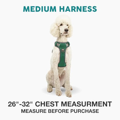 Embark Adventure Medium Dog Harness – No-Pull, Reflective Trim, Military-Grade Nylon, Front Clip with Gel-Lined Handle - color: Green, size: M