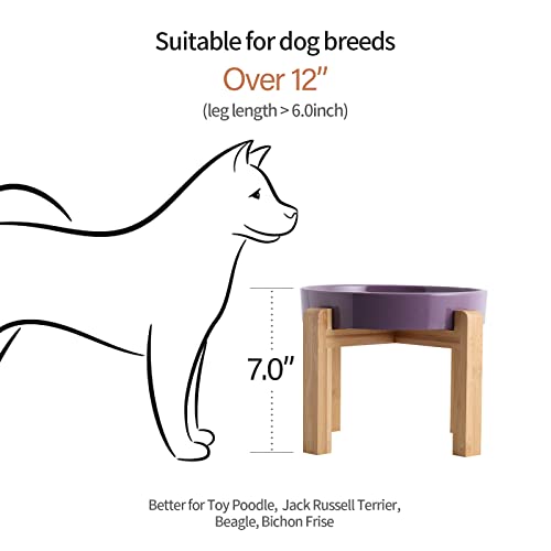 8.66 in Purple Dog Bowl Ceramic Slow Feeder for Medium Large Dogs,Elevated/Raised Slow Feeding Dog Food Water Dish Heavy Weighted,Puppy Bowl for Fast Eaters,Puzzle Eating Bowl Maze - color: Purple Slow Feeder Elevated