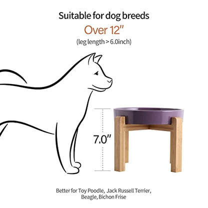 8.66 in Purple Dog Bowl Ceramic Slow Feeder for Medium Large Dogs,Elevated/Raised Slow Feeding Dog Food Water Dish Heavy Weighted,Puppy Bowl for Fast Eaters,Puzzle Eating Bowl Maze - color: Purple Slow Feeder Elevated