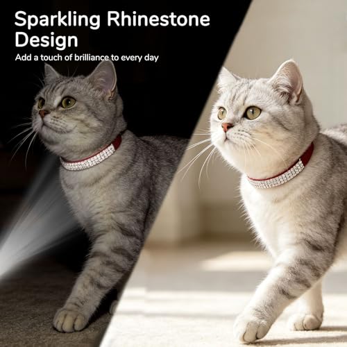 BINGPET Diamond Cat Collar with Bell, Adjustable Soft Velvet Bling Rhinestone Cat Collar, Sparkly Kitten Collar with Safety Elastic & Metal Buckle for Small Medium Cats - color: Red(Rhinestones), size: Neck Girth 8"-10"