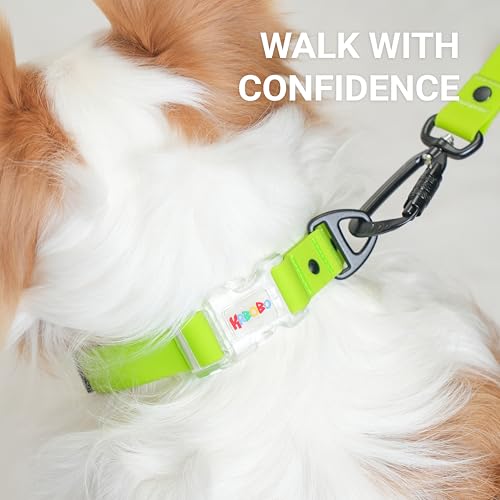 Waterproof Dog Collar, Stink Proof PVC Coated Collar with Lightweight Aluminum Hardware & Transparent Buckle, Heavy Duty for Small Medium Large Dogs, Green, Small - color: Green, size: S