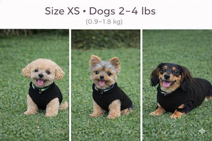 JACKO & CO - Fleece Vest Dog Sweater with Leash Ring - Soft, Warm & Lightweight Pullover Coat for Small & Medium Dogs, Puppies & Cats - Cozy Fall/Winter/Spring Pet Jacket (Black, XS 2-4lbs) - color: Black, size: XS (2-4lbs)
