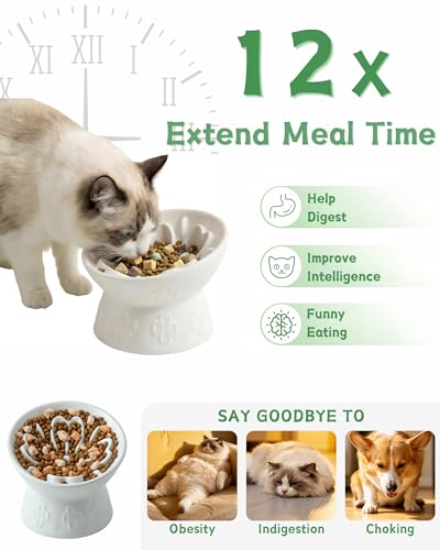 Ceramic Slow Feeder Cat Bowl, 15° Tilted Elevated Cat Slow Eating Bowl for Neck Protection, Anti Vomiting Dog Slow Feeder, Whisker Friendly & No Black Chin for Cats and Small Dogs, White - color: 01-White